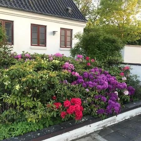 Hostel Dreamcenter Boulevard Ballerup