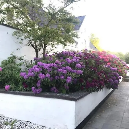 Dreamcenter Boulevard 발레롭